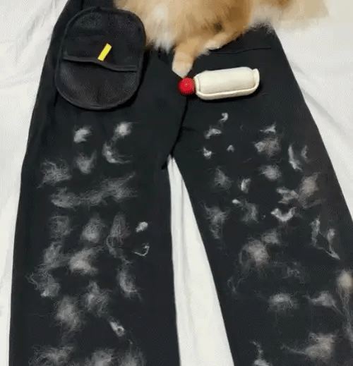 PETVERA™ Magic Brush Kedi Köpek Tüy Toplayıcı