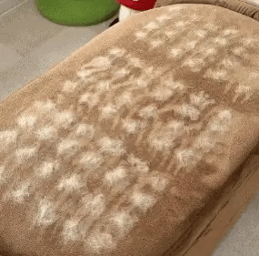 PETVERA™ Magic Brush Kedi Köpek Tüy Toplayıcı